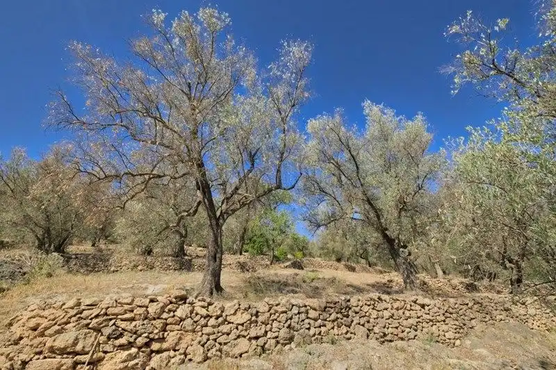 Terreno rustico in vendita a El Pinar, imagen 33