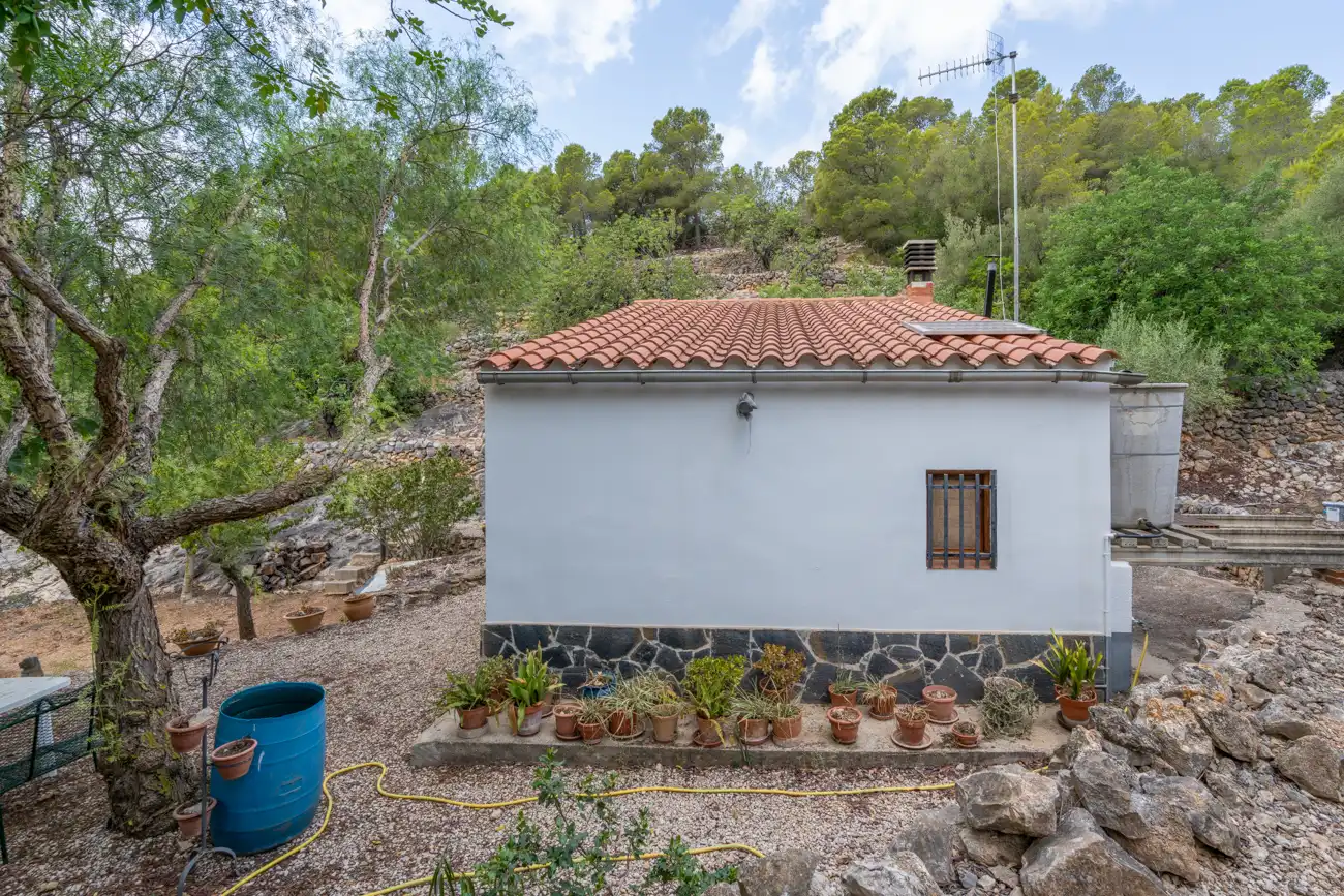 Terreno rústico en venta en Partida Camp Redo 173, imagen 20