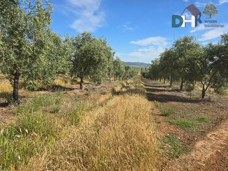 Terreni e lotti in vendita a San Roque - Ronda Norte