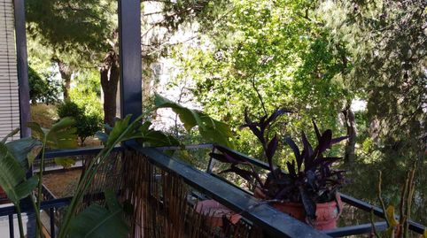 Photo 2 of Flat for rent in Linarejos, Linares