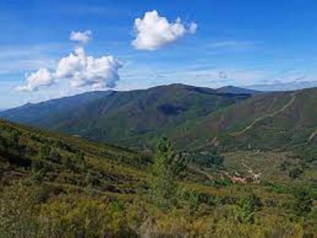 Terreno en Venta en Perales del Puerto