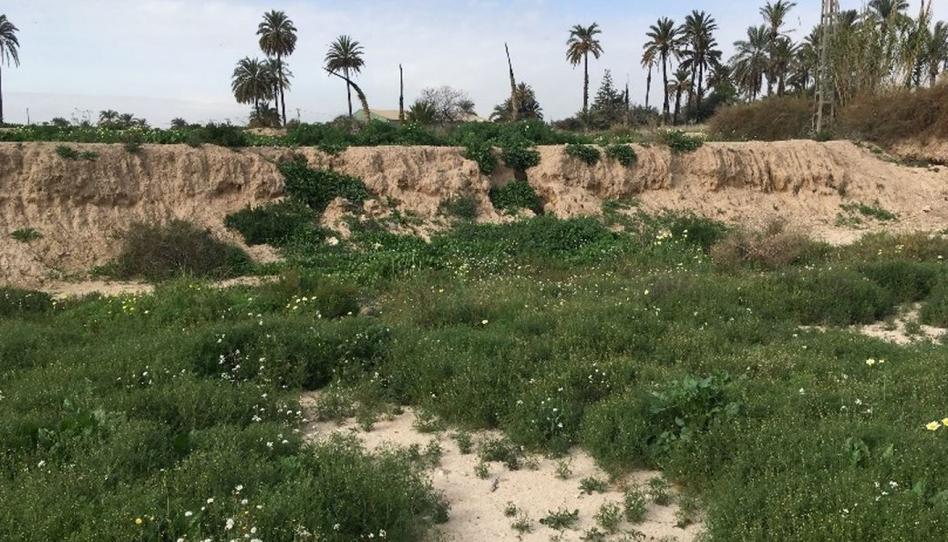 Photo 1 of Industrial land for sale in Partida Partida de Algorós, Sector V, Alicante
