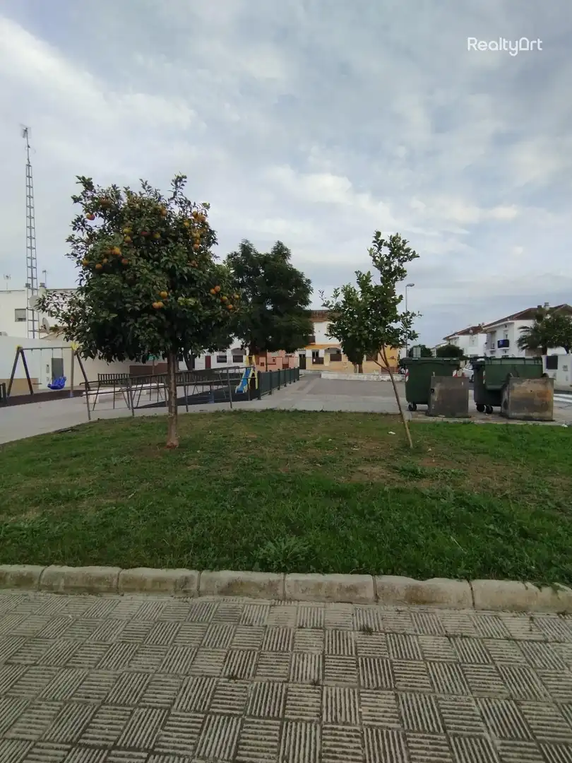 Logement avec jardin à vendre à Sanlúcar la Mayor, imagen 41