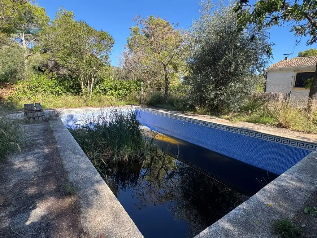 Piscina de Casa o xalet en venda en El Montmell