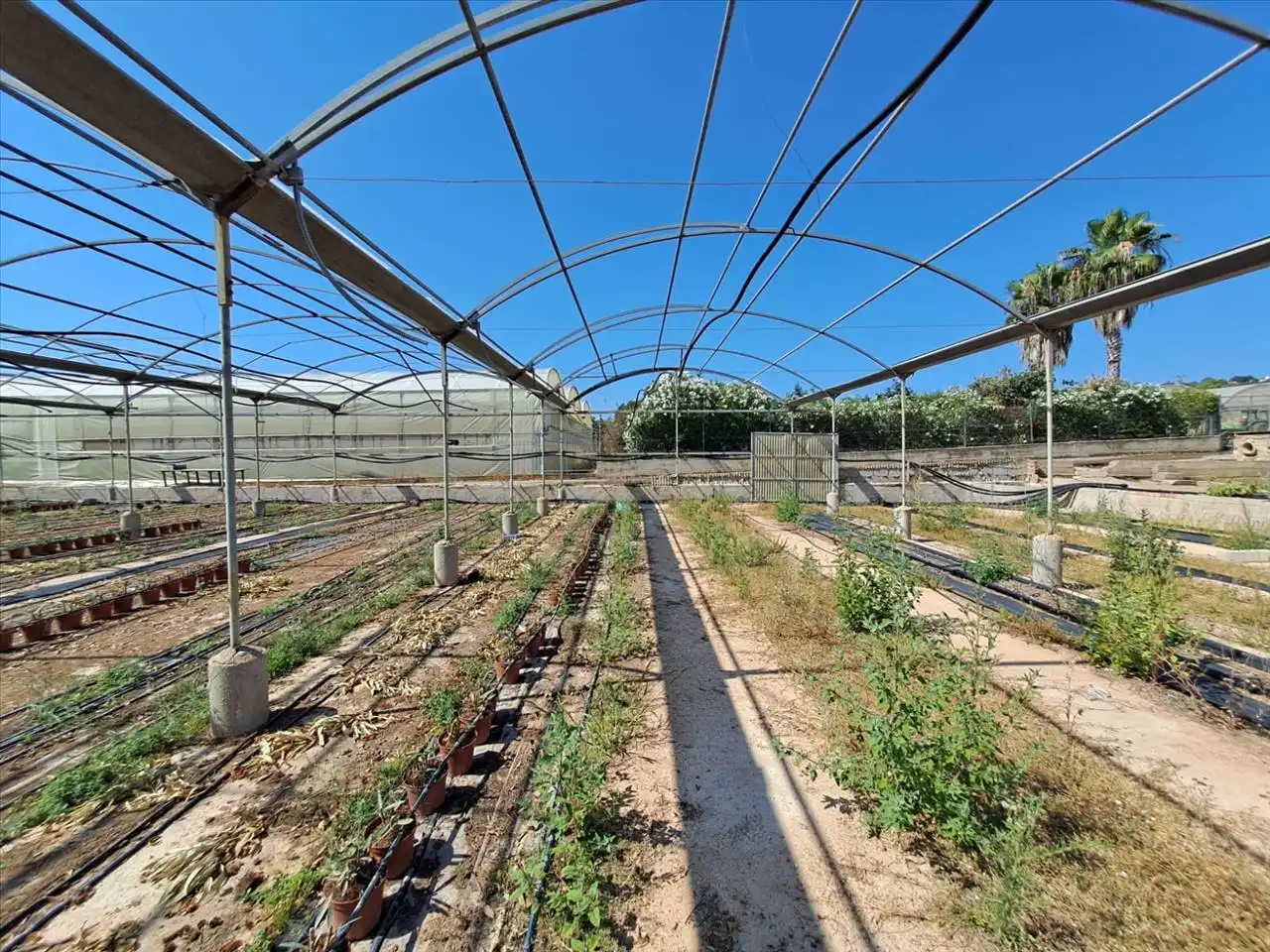 Garten von Grundstücke zum Verkauf in Catadau