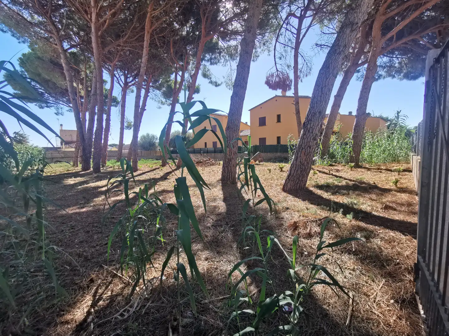 Residential land for sale in Carrer Riells de Dalt, imagen 4