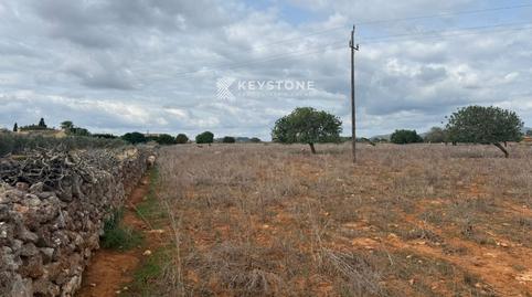Photo 5 of Land for sale in N/a, Porto Cristo, Manacor