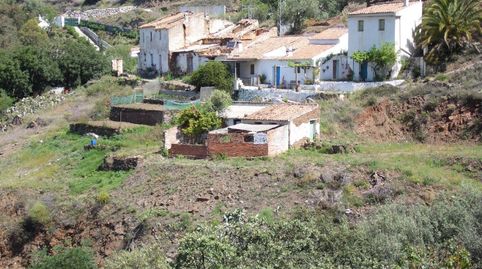 Foto 4 de Finca rústica en venta en Sayalonga, Málaga