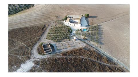 Foto 3 de Finca rústica en venda a Morón de la Frontera, Sevilla