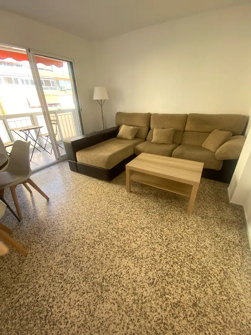 Living room of Flat for rent in Málaga  with Terrace, Furnished and Oven