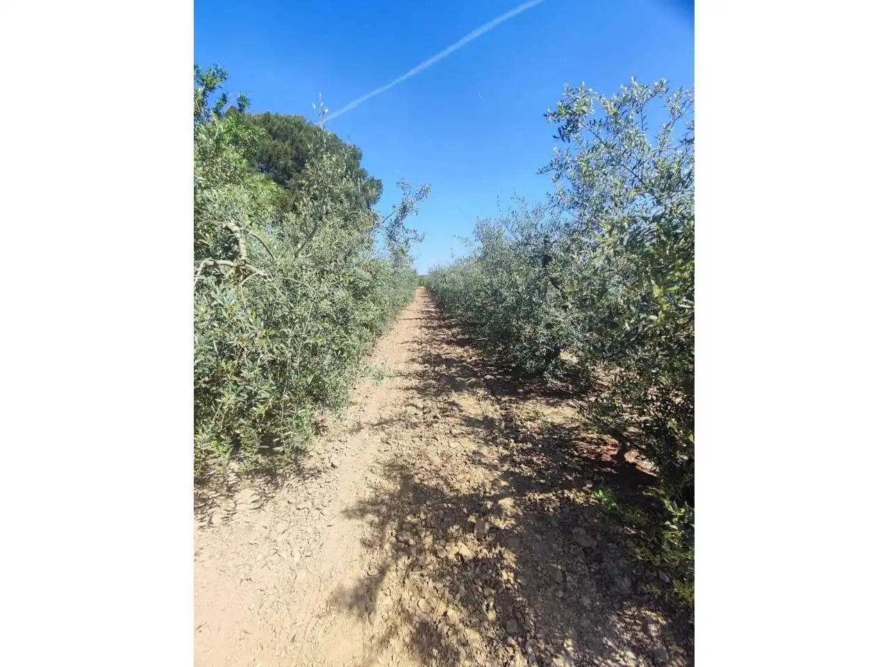 Terreno en venta en Zaidín