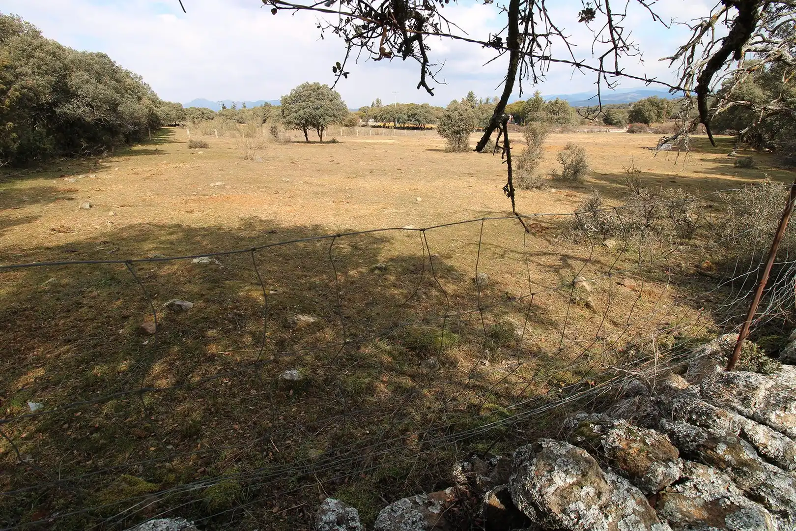 Terreny rústic en venda a El Vellón, imagen 2