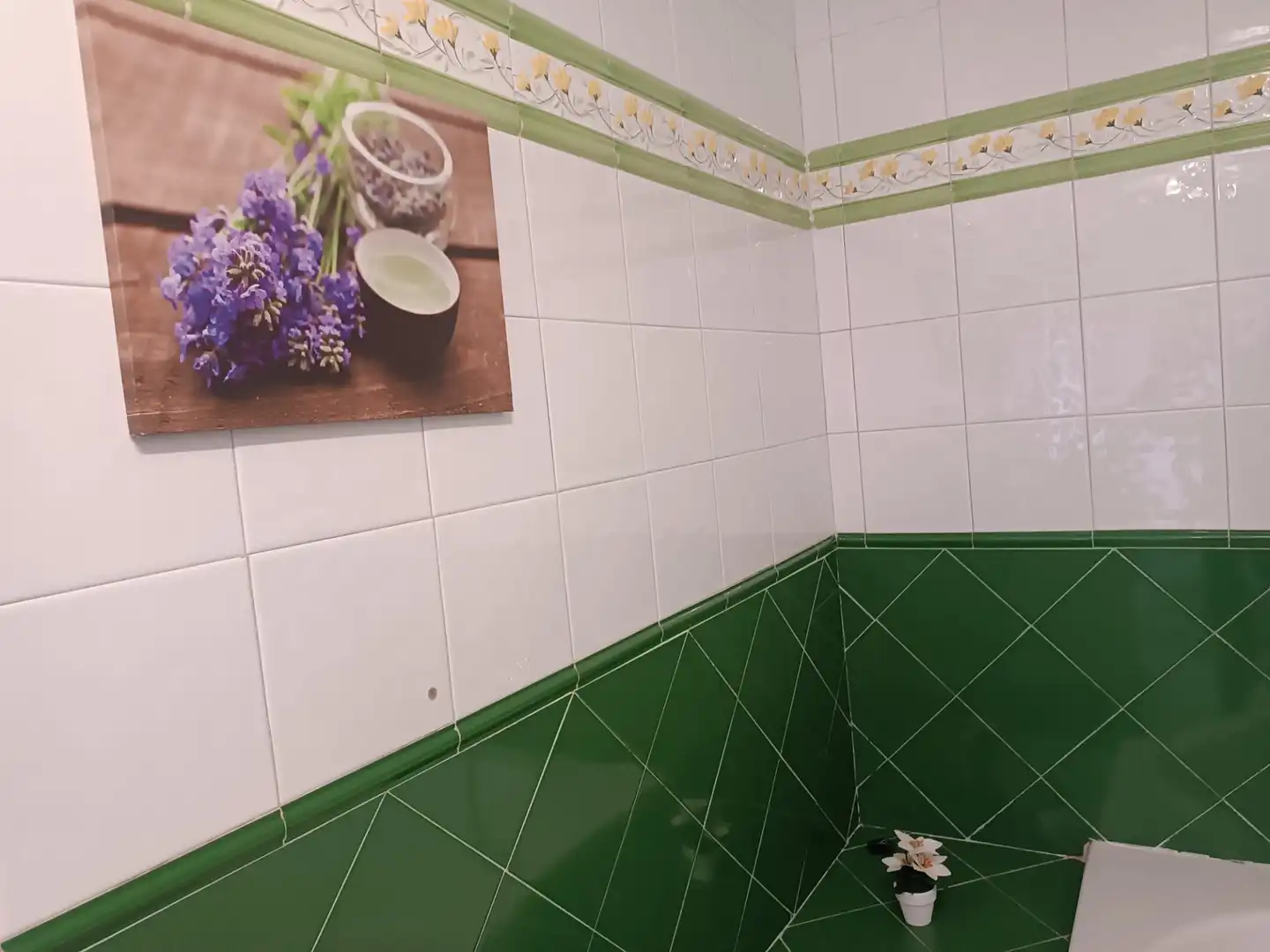 Baño de Casa o chalet en venta en Castrillón con Calefacción, Jardín privado y Parquet