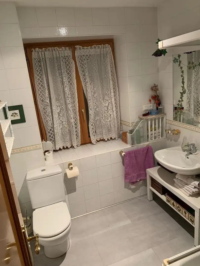 Bany de Casa o xalet en venda en Vitoria - Gasteiz amb Traster i Moblat