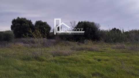 Foto 3 de Finca rústica en venta en Poligono 14. 311, 312, 313, Sa Pobla, Illes Balears