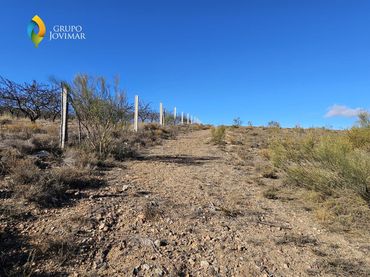 Terreno rustico in vendita a Caniles