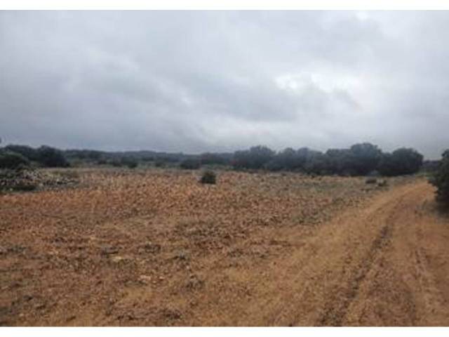 Terreno en Venta en Casas de Lázaro