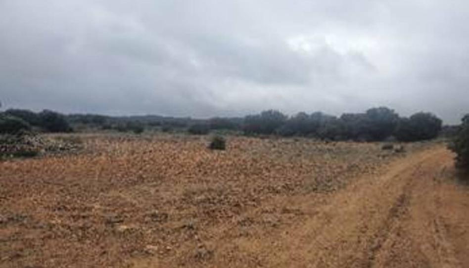 Foto 1 de Terreno en venta en Casas de Lázaro, Albacete