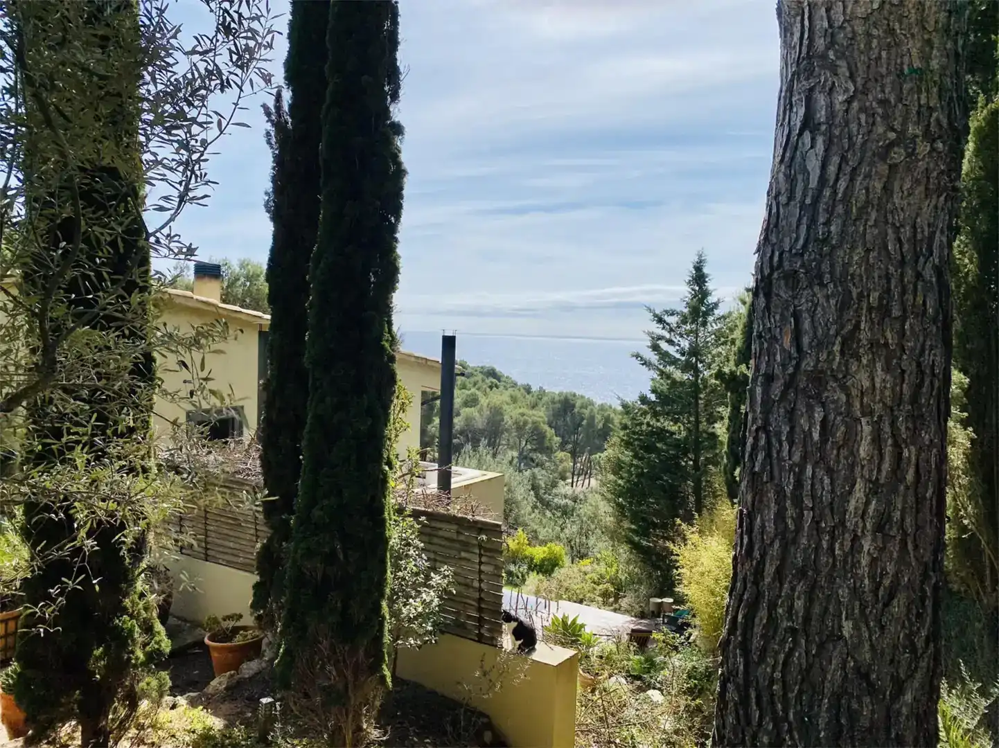 Jardín de Casa o chalet en venta en Palafrugell con Jardín privado, Parquet y Piscina