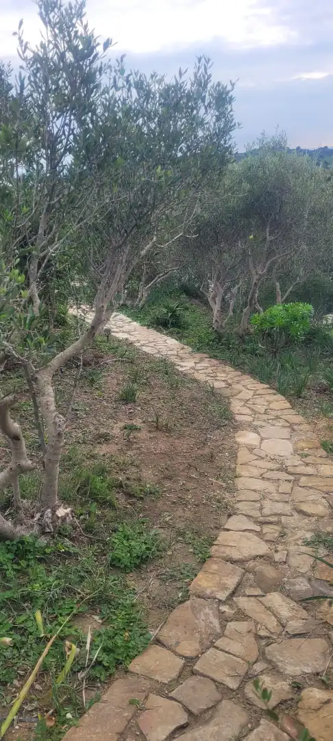 Terreni e lotti in vendita a Cañada de Matatoros 2, imagen 19