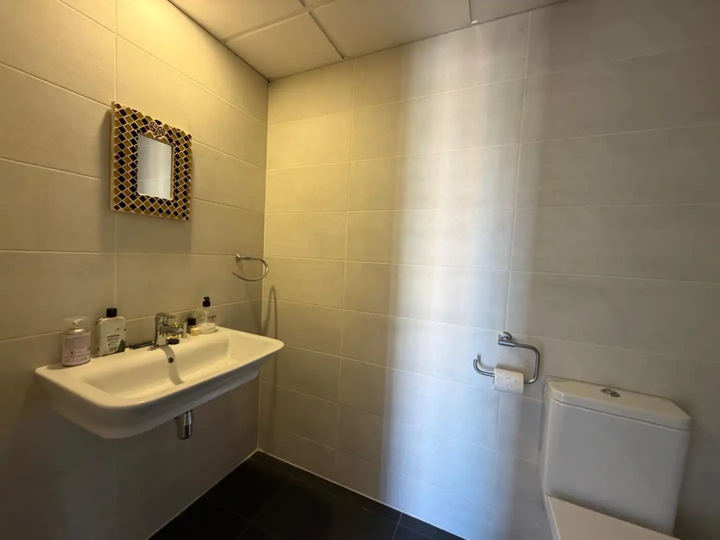 Piso con piscina en venta en Calle MAESTRO JOSE GARBERI 11, imagen 13
