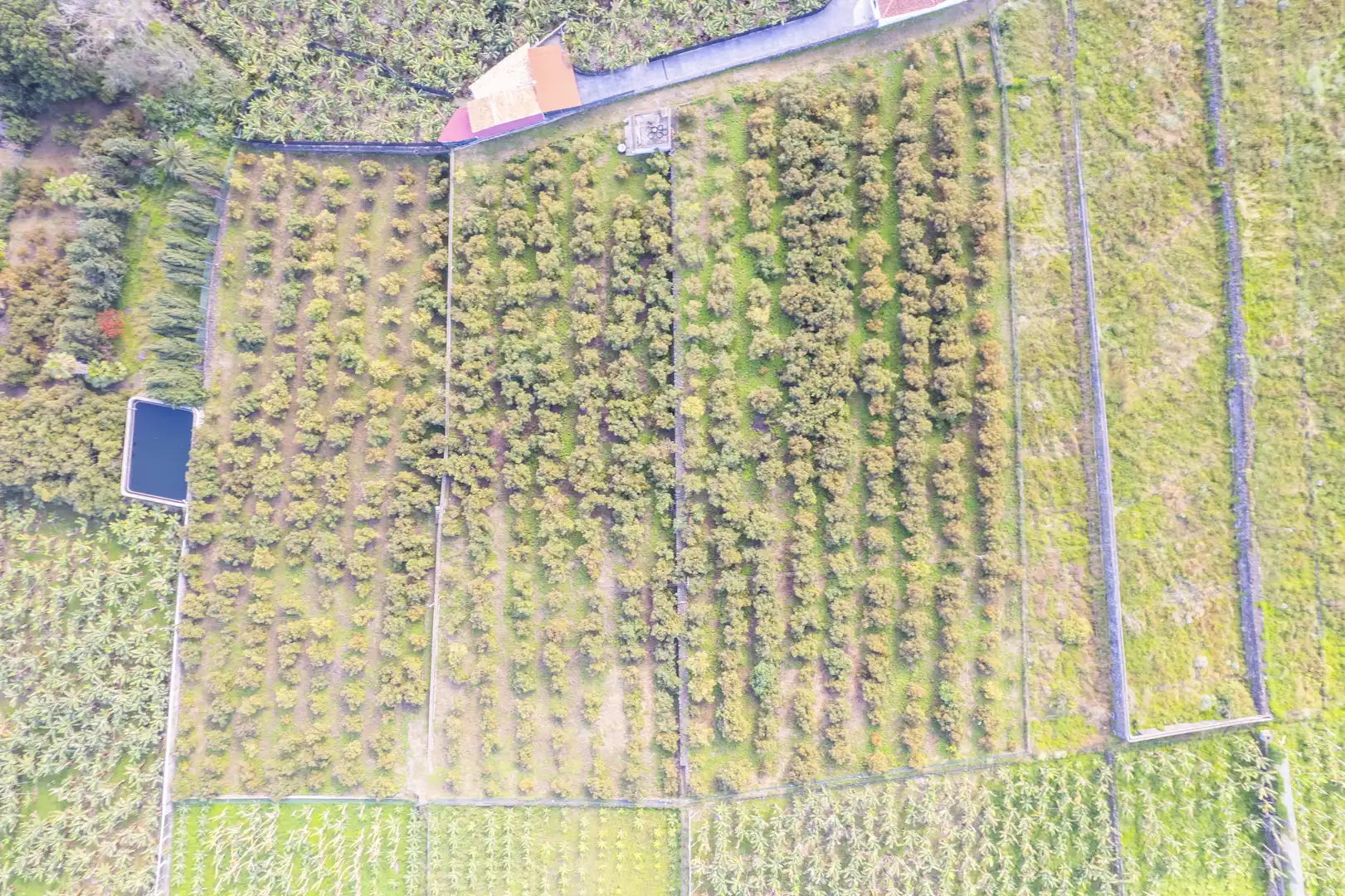 Land for sale in La Orotava