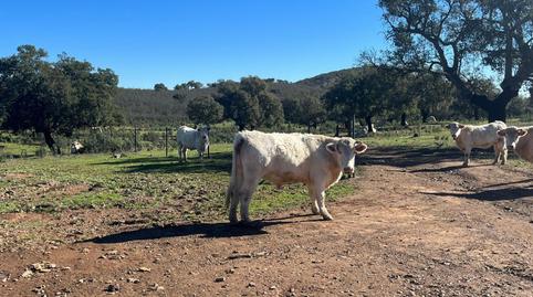 Foto 3 de Residencial en venda a Casco Antiguo, Cáceres
