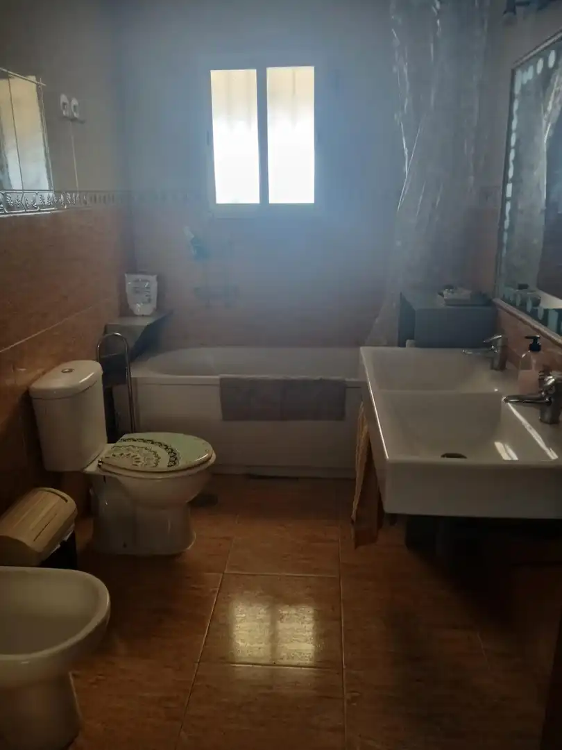 Chalet con piscina en venta en Gibraleón, imagen 16