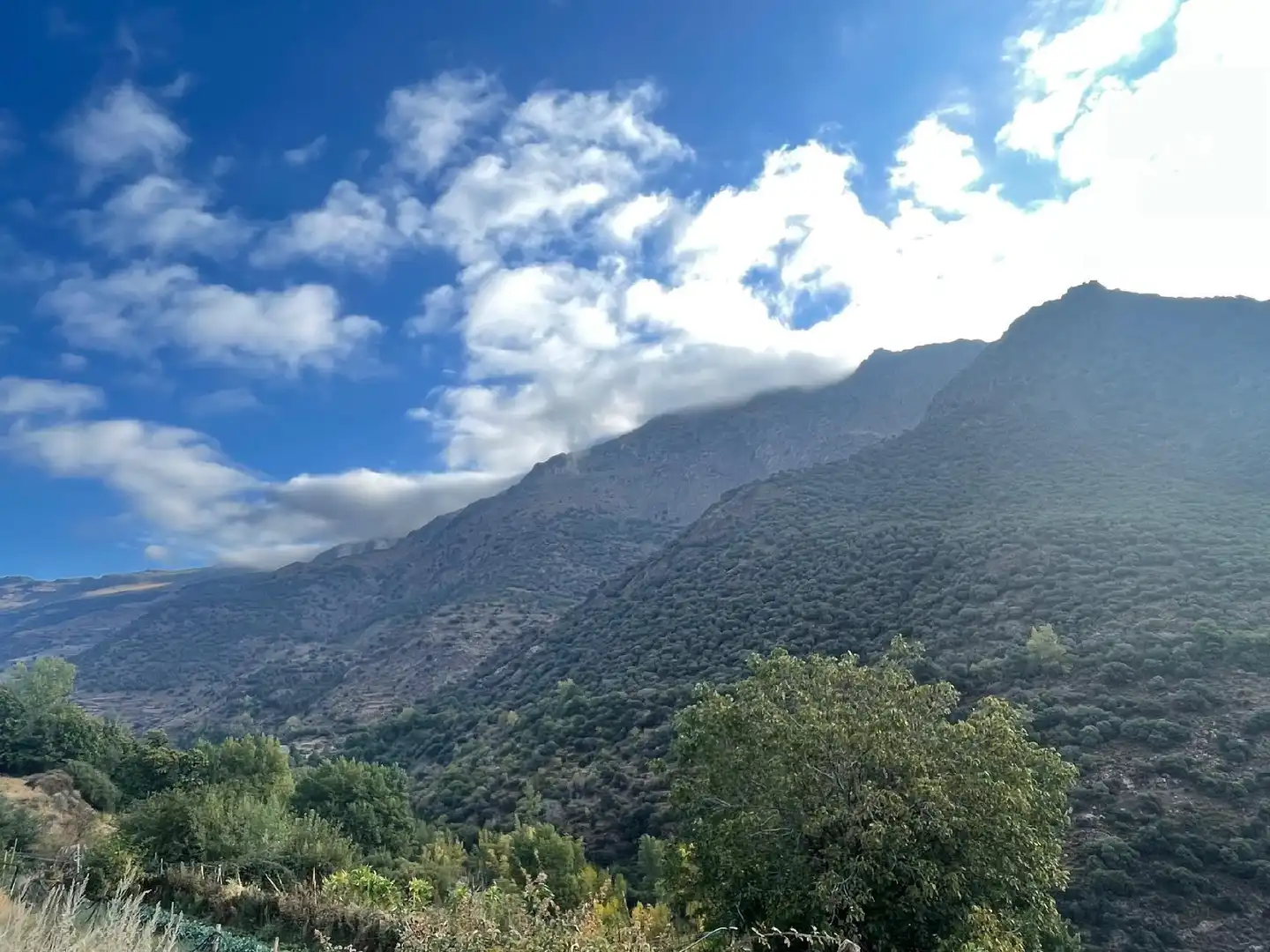 Vista exterior de Casa o chalet en venta en Trevélez