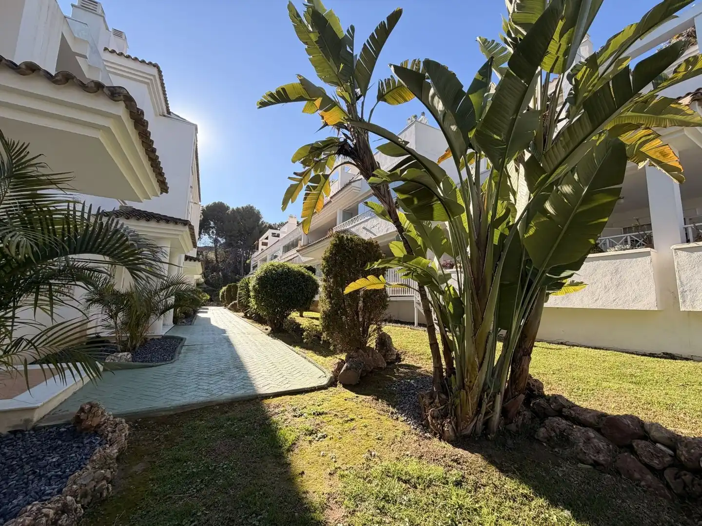 Vista exterior de Apartamento en venta en Marbella con Terraza, Amueblado y Piscina comunitaria