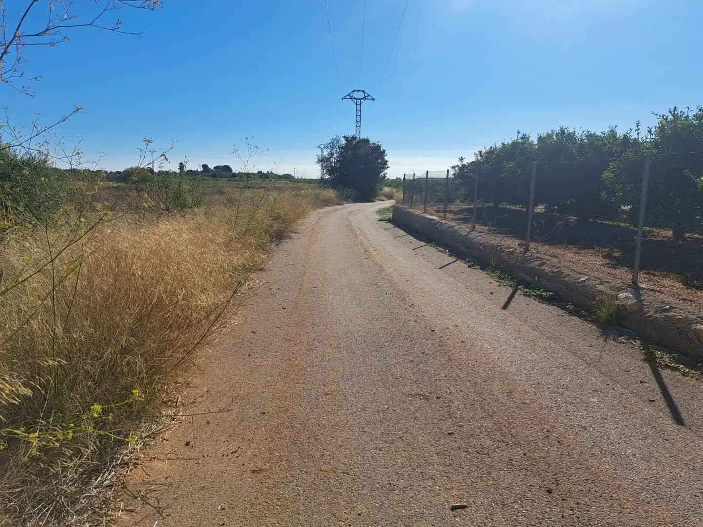 Rural land for sale in Plaça Num 17 105, imagen 9