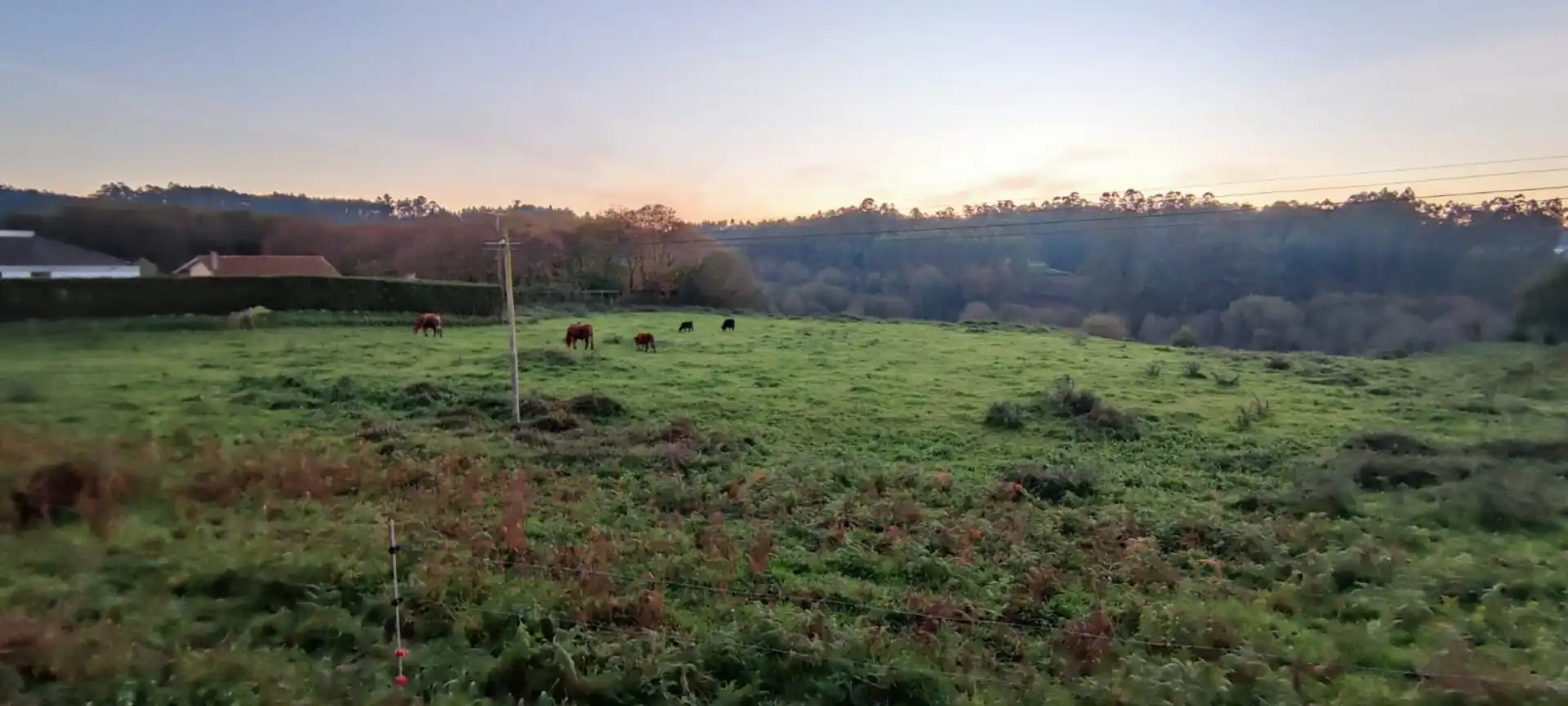 Terrenos y solares en venta en Oza dos Ríos