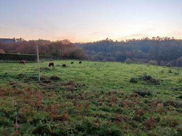 Terrenos y solares en venta en Oza dos Ríos