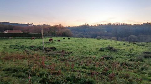 Se venden parcelas en suelo de núcleo rural poco denso. Superficies desde 952 metros cuadrados hasta prácticamente 5.000 metros cu