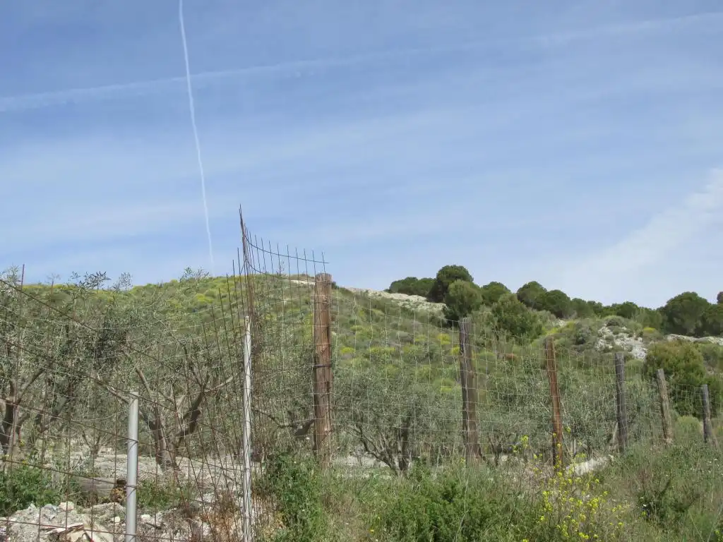 Terreni e lotti in vendita a POLIGONO 007