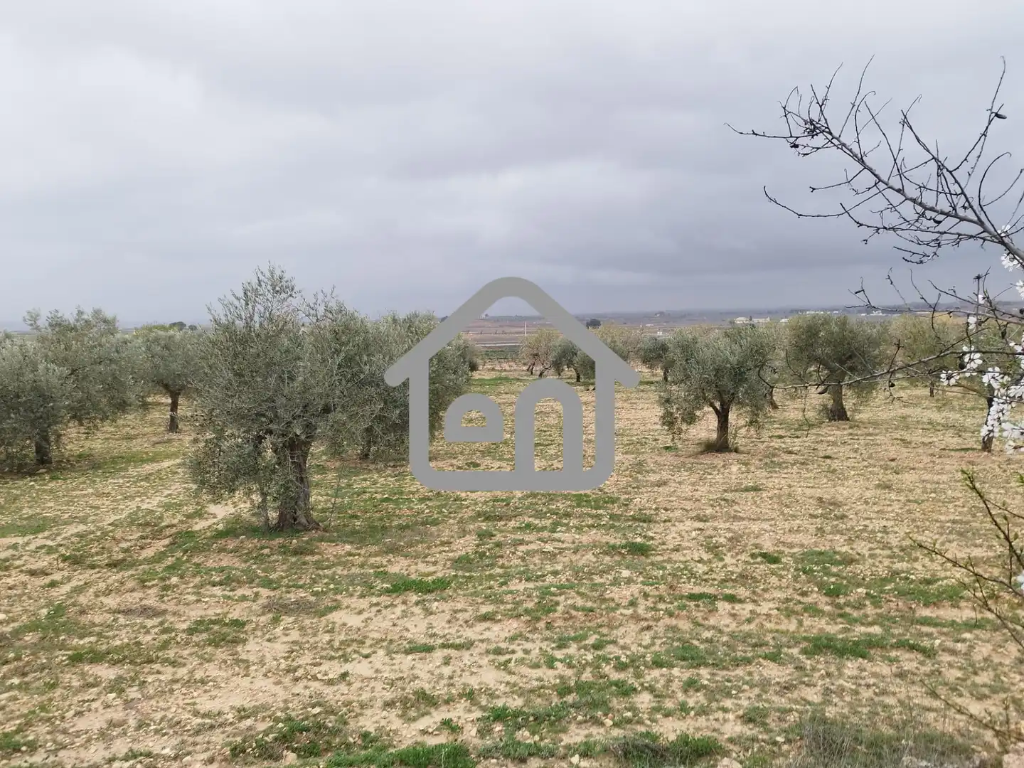 Rural land for sale in Requena, imagen 4