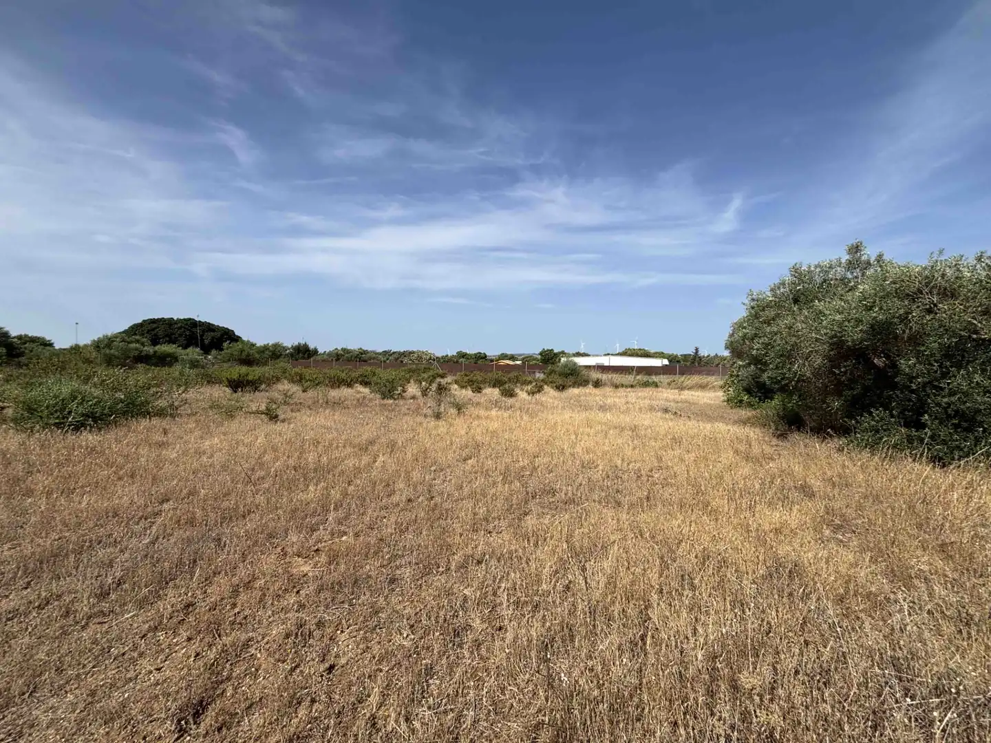 Terreny rústic en venda a Medina Sidonia, imagen 20