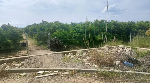 Foto 4 von Grundstücke zum Verkauf in Camino Torre de Los Pares, Guardamar de la Safor, Valencia