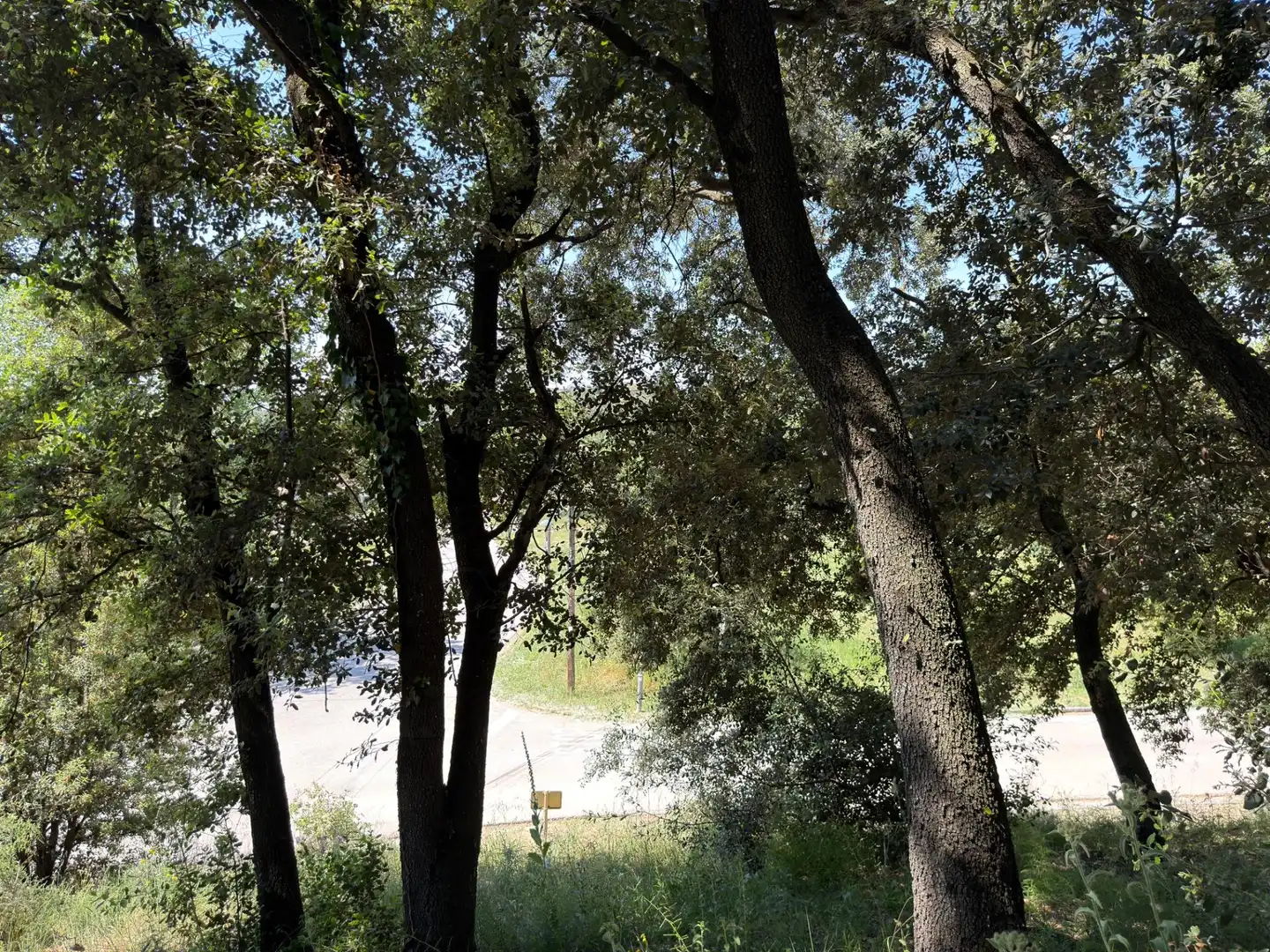 Lands and plots for sale in Carrer de Sant Bernat 7, imagen 14