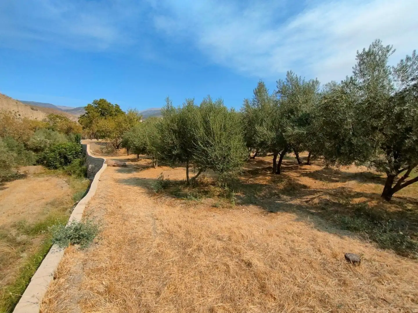 Grundstücke und Bauplätze zum Verkauf in Ugíjar, imagen 4