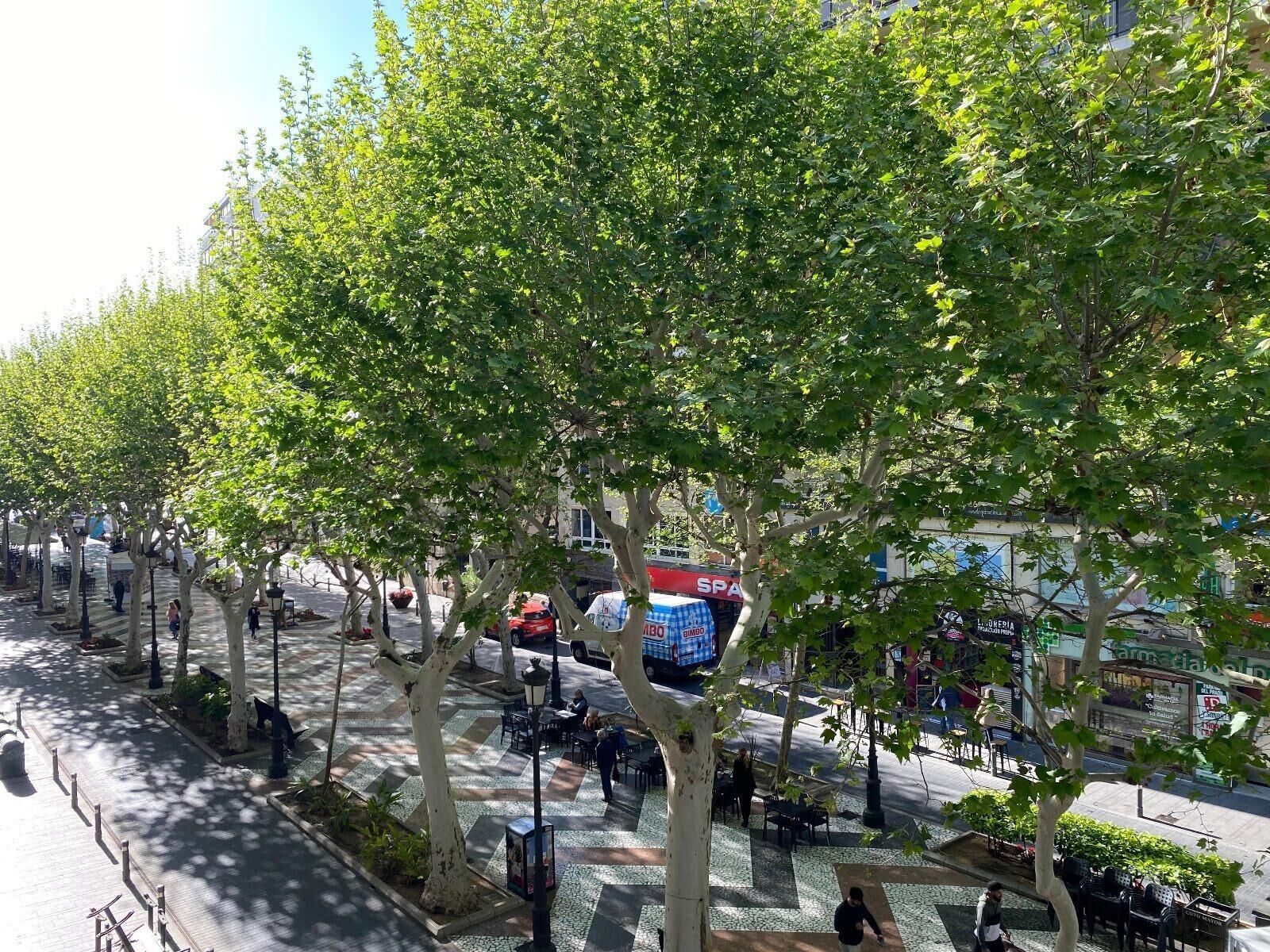 Exterior view of Flat for sale in Gandia