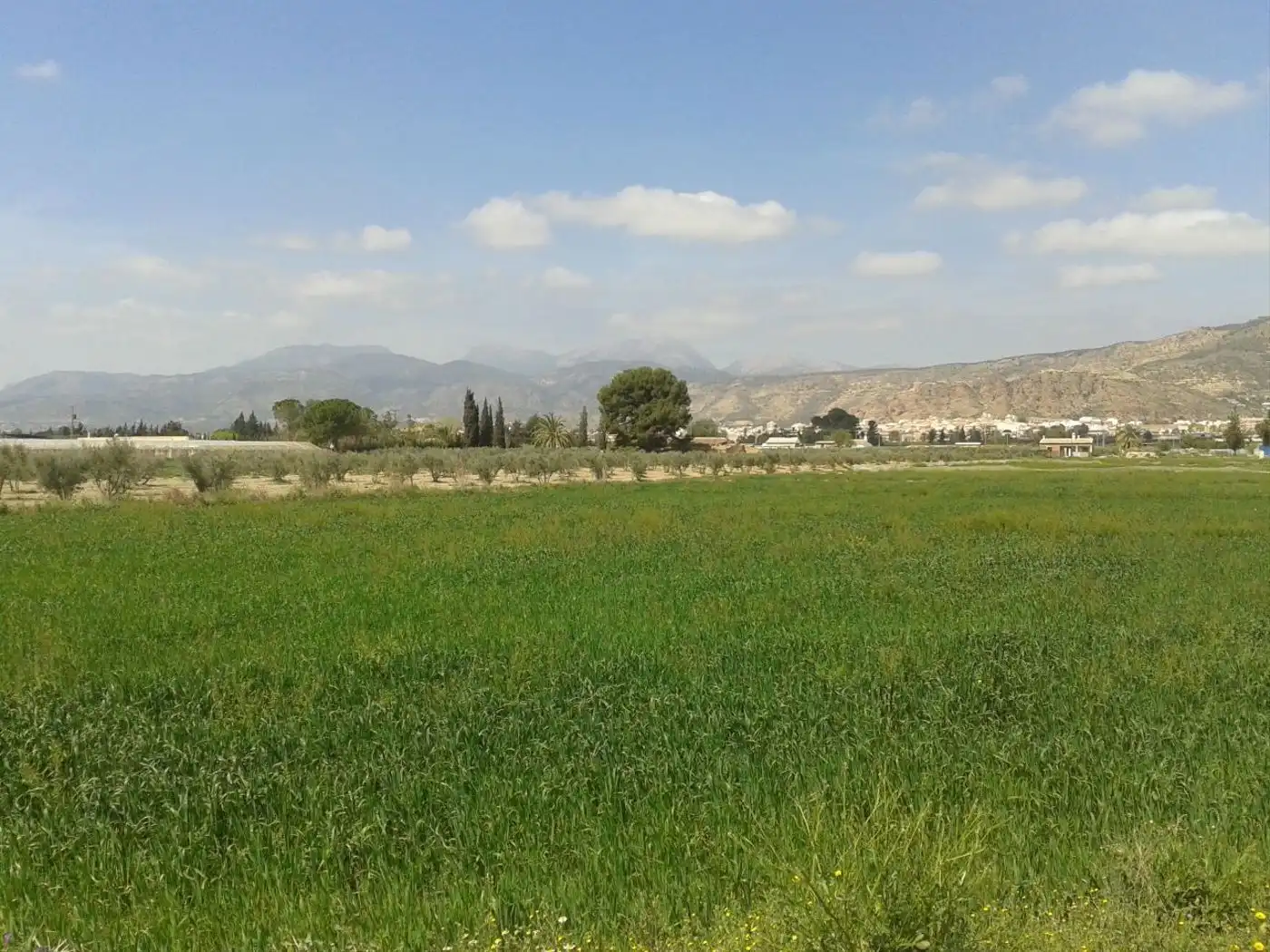 Industrial land for sale in Alhama de Murcia