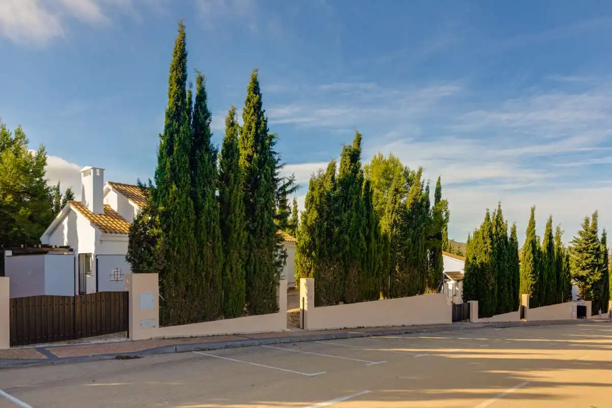 Vista exterior de Casa adosada en venta en Fuente Álamo de Murcia con Amueblado