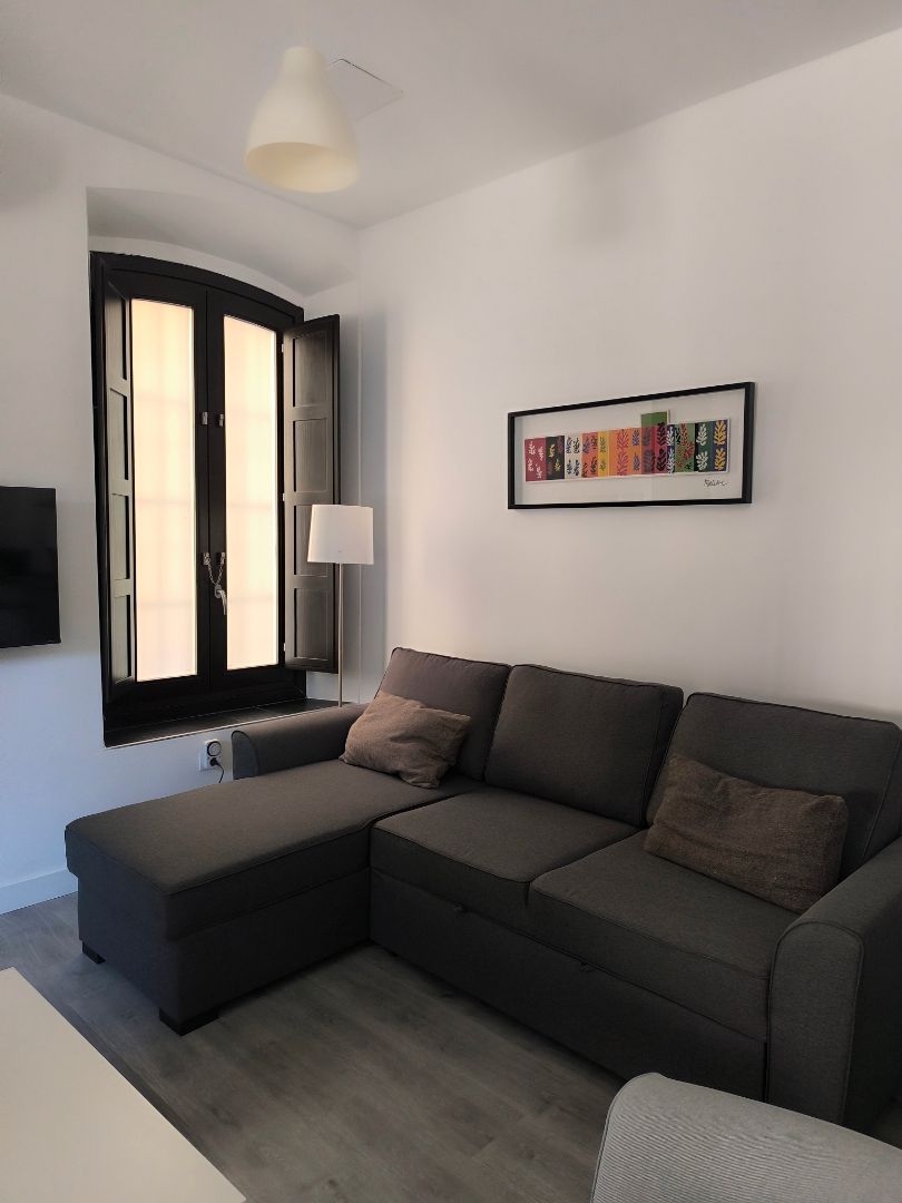 Living room of Apartment to rent in  Granada Capital  with Air Conditioner, Heating and Furnished