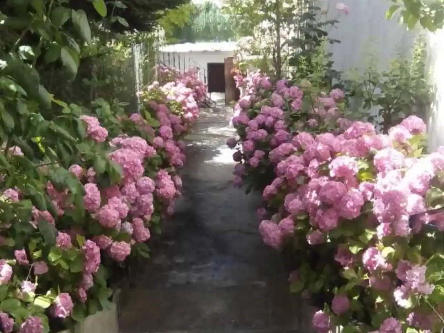 Jardí de Finca rústica en venda en Capileira