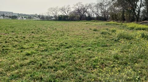 PRECIOSAS FINCAS DE REGADIO, imagen 5