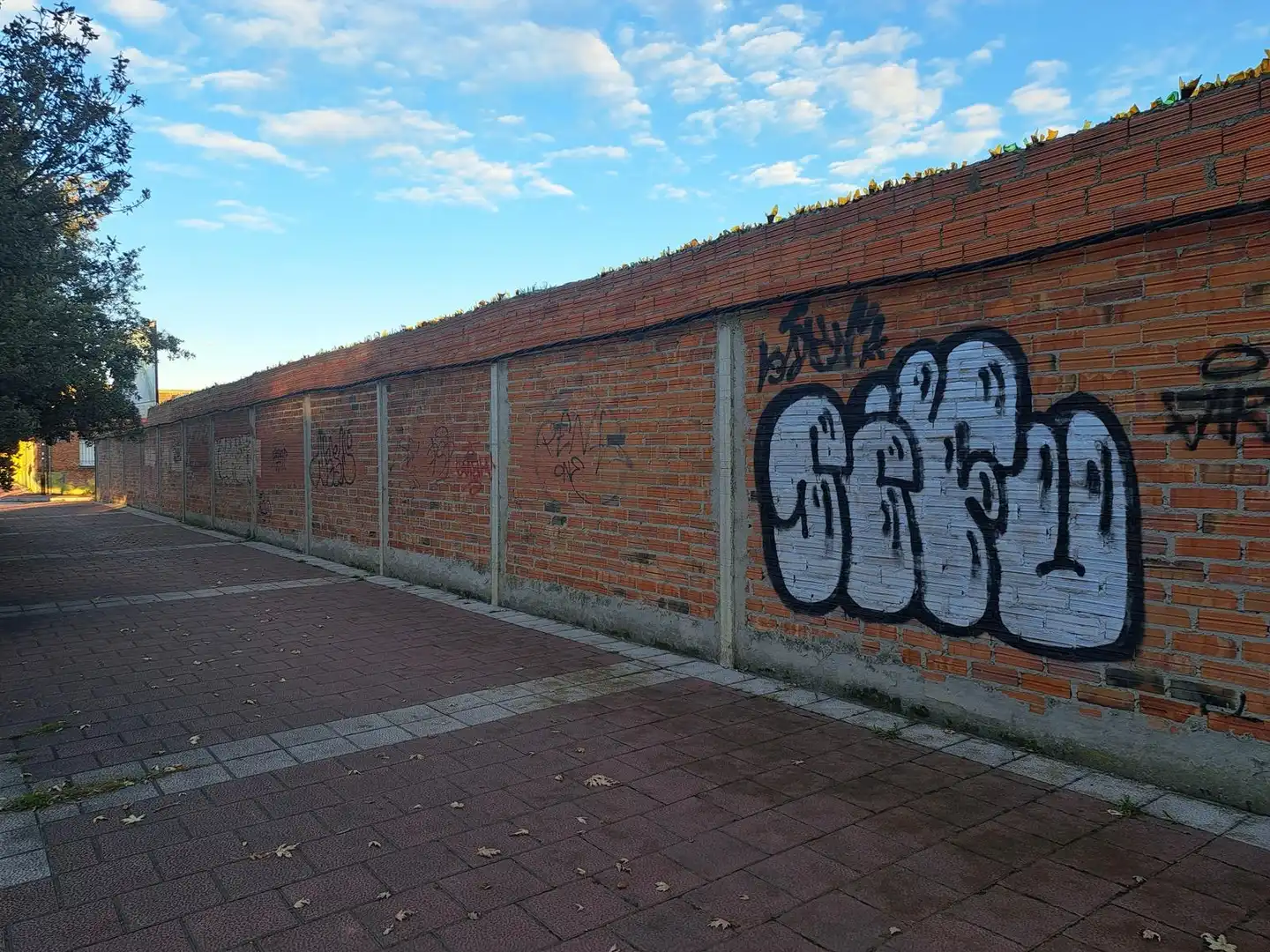 Residential land for sale in Calle Roncal 1, imagen 15