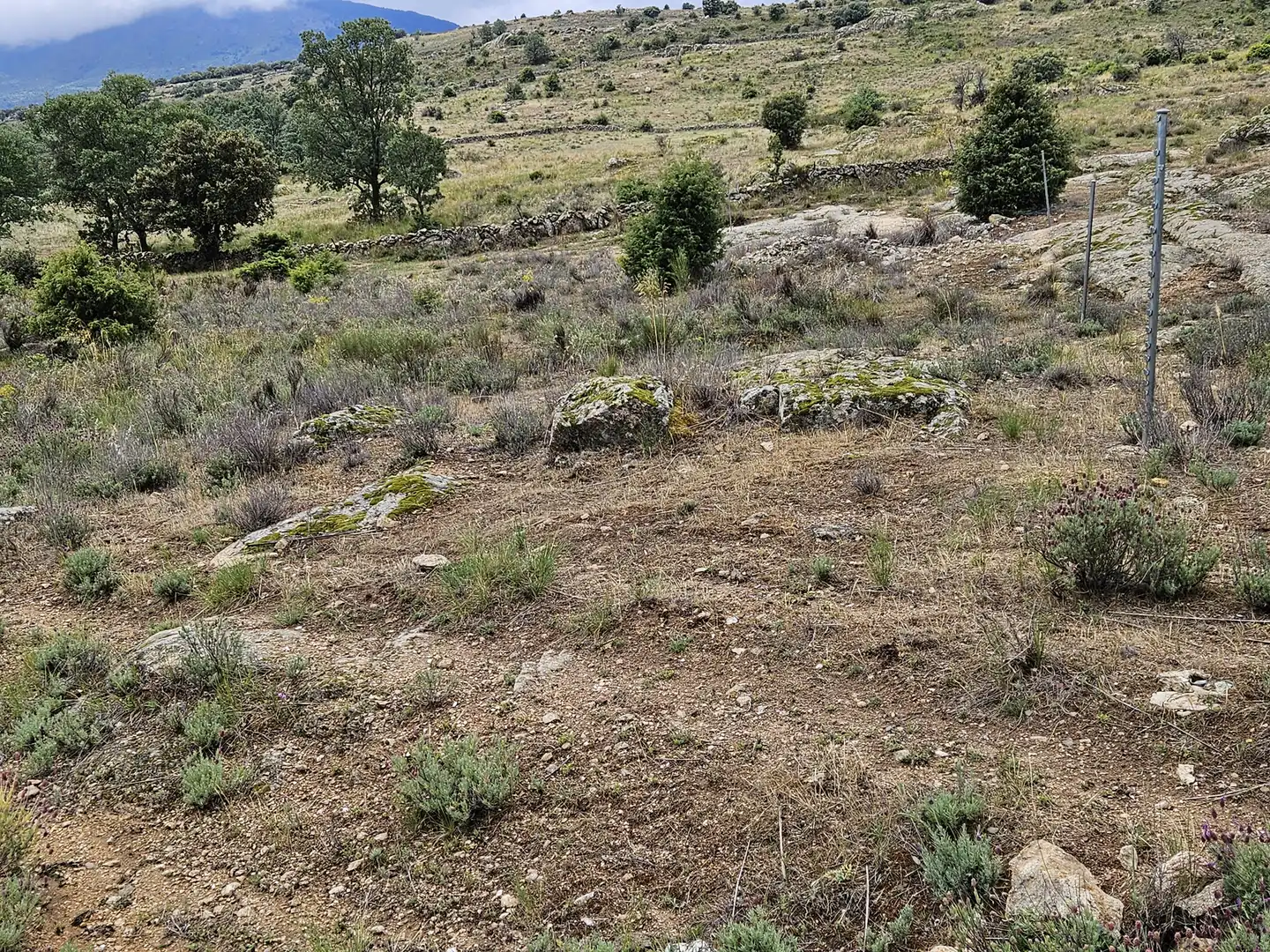 Terreny rústic en venda a Lozoyuela-navas-sieteiglesias, imagen 13