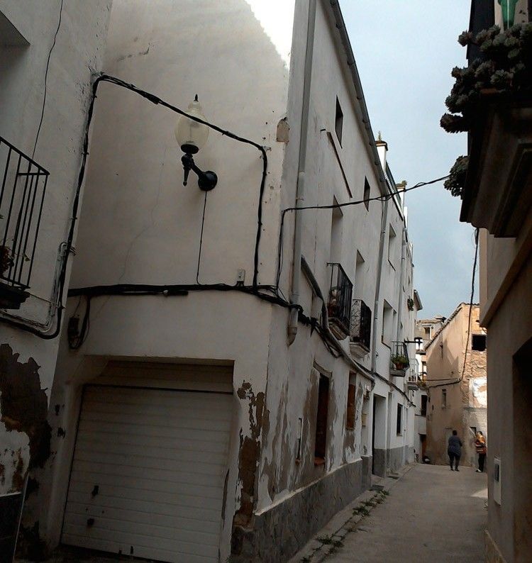 Exterior view of House or chalet for sale in Carme