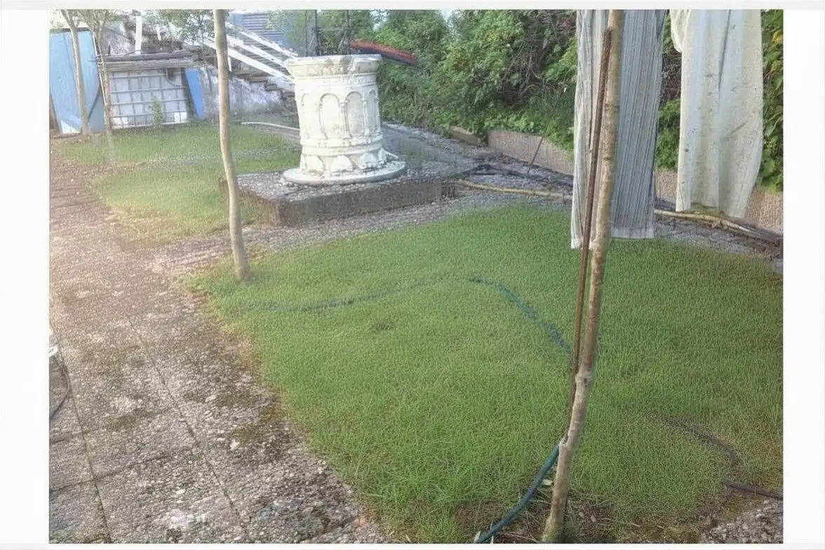 Garden of Houses for sale in Santo Domingo de Silos  with Private garden and Terrace